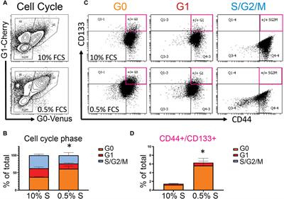 Monitoring Spontaneous Quiescence and Asynchronous Proliferation-Quiescence Decisions in Prostate Cancer Cells